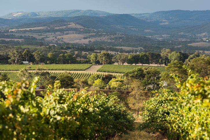 Yarra Valley Self-Drive