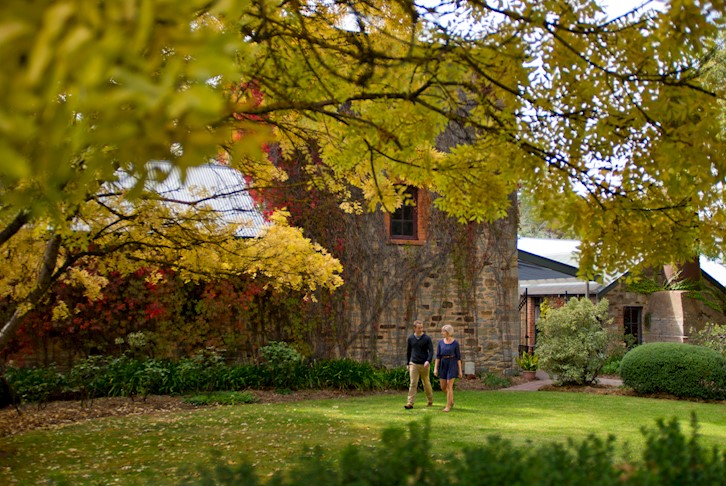 Clare Valley Self-Drive