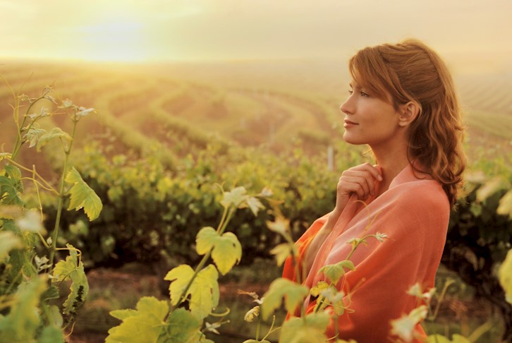 Barossa Valley Self-Drive