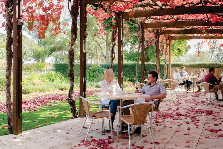 Winery Explorer Self-Drive