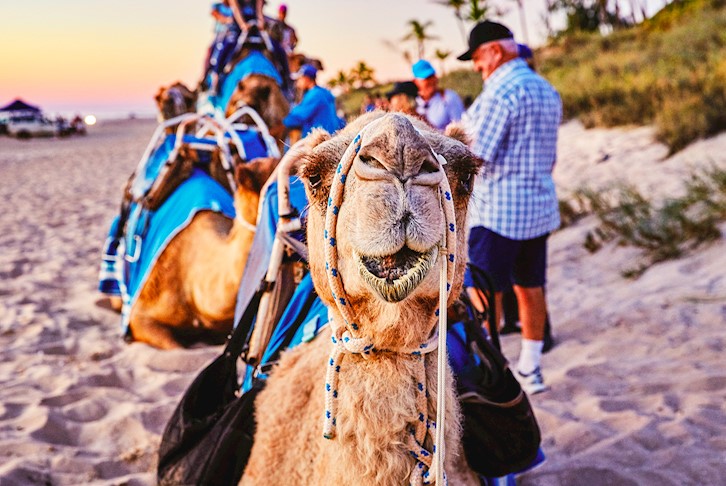 Indian Pacific with Perth & Broome Discover