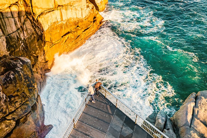 Perth, Rottnest Island, Margaret River, Albany & Tree Top Walk Touring