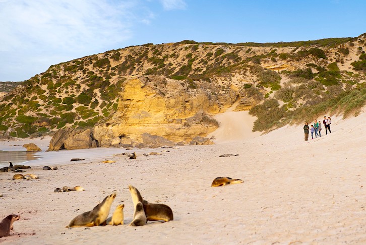 Adelaide All-Inclusive with Kangaroo Island Stay