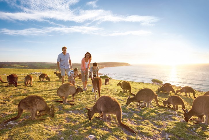 Adelaide Discover with Kangaroo Island Stay