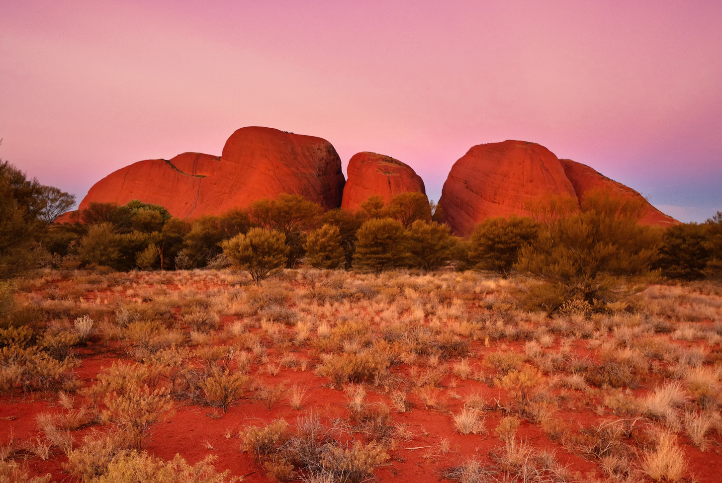 alice springs tour to uluru