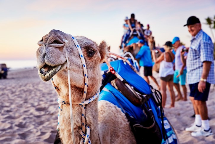 Perth and Broome Discover