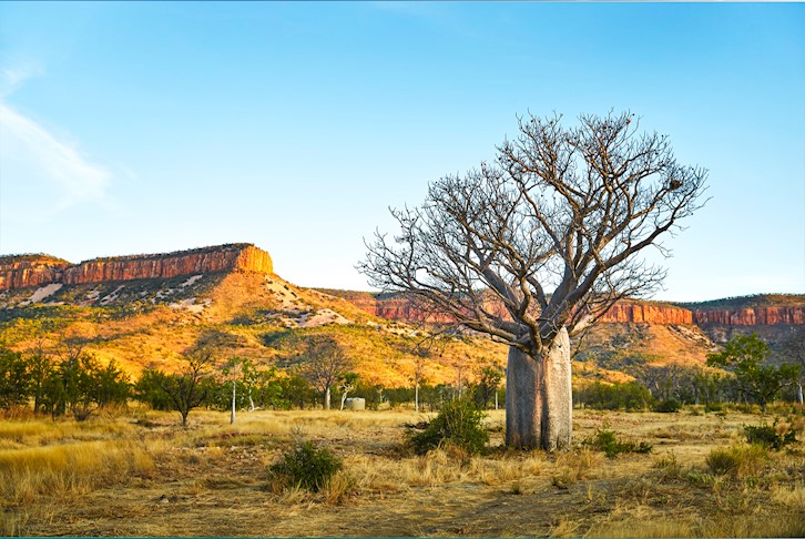 Darwin to Broome Luxury Kimberley Coach Touring