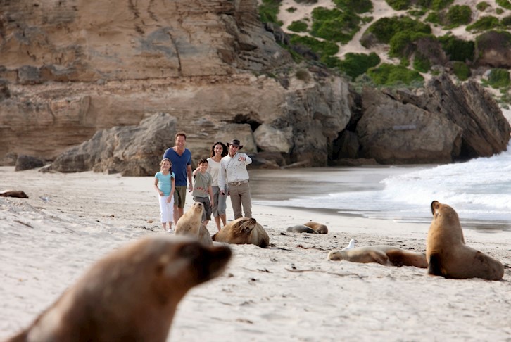 Adelaide with Kangaroo Island Explorer Tour