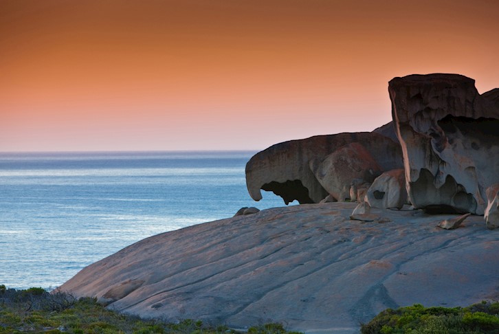 Murray Princess 4 Day Discovery Cruise with Kangaroo Island Touring & Adelaide Stay