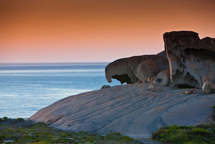 Murray Princess 4 Day Discovery Cruise with Kangaroo Island Touring & Adelaide Stay