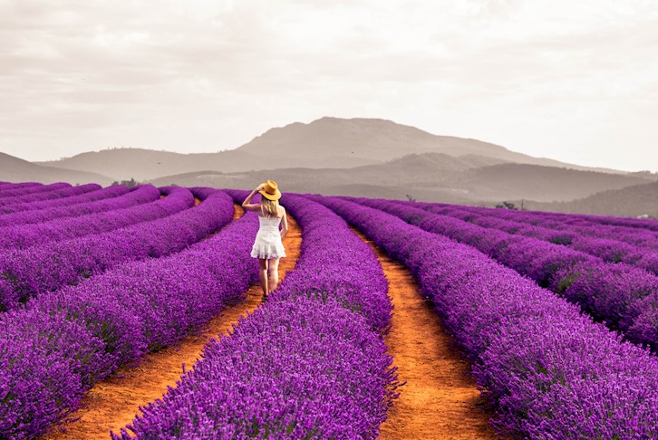 Tasmania’s East Coast Premium Coach Touring