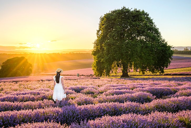 Tasmania’s East Coast Premium Coach Touring