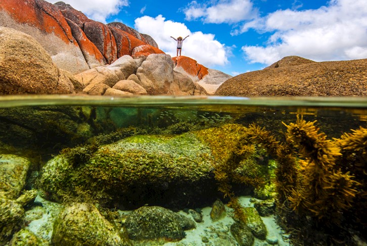 Highlights of Tasmania Premium Small Group Touring