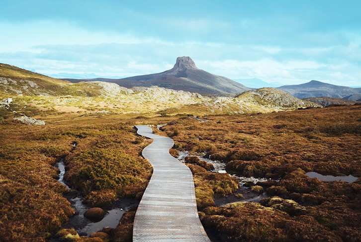 Highlights of Tasmania Premium Small Group Touring with Cradle Mountain