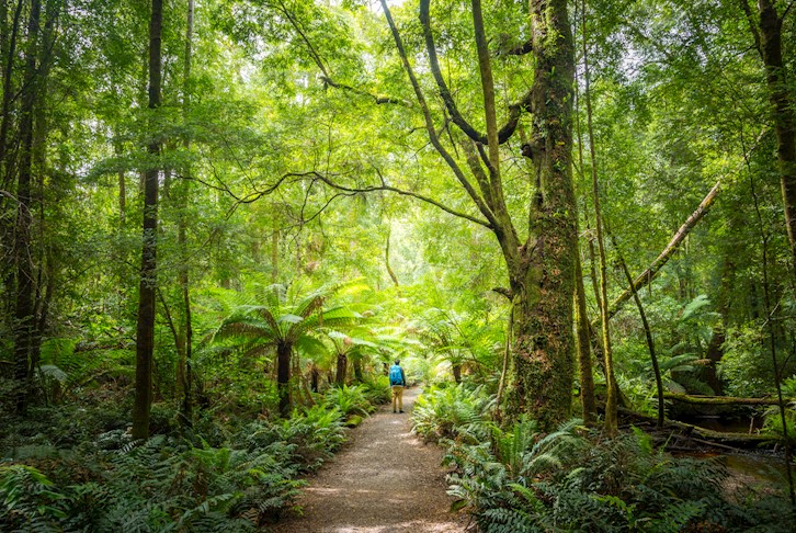 Wilderness of Tasmania Premium Small Group Touring