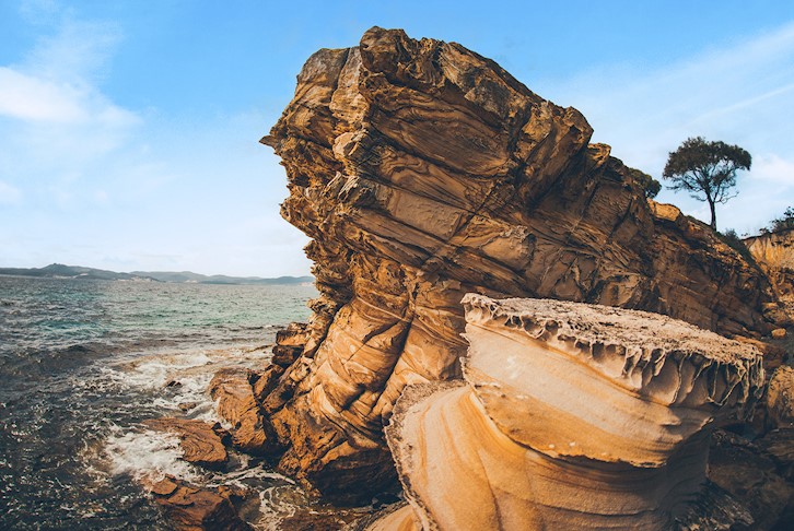 Wilderness of Tasmania Premium Small Group Touring