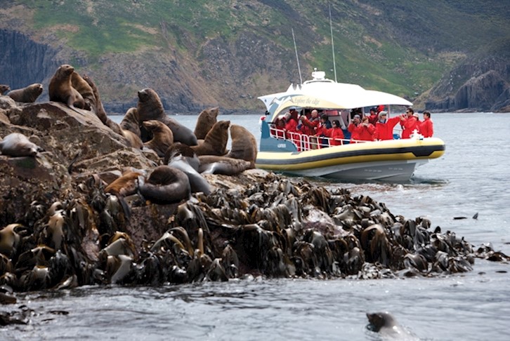 Wildlife of Tasmania Premium Small Group Touring