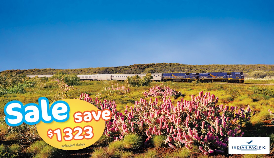 Indian Pacific to Perth Wildflower Discovery