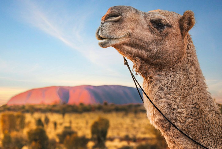 Ghan with Alice Springs & Uluru Ayers Rock All-Inclusive