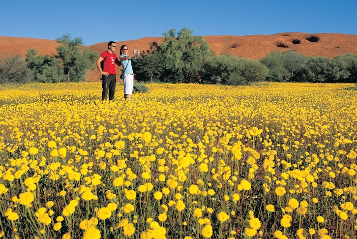 North West Wildflower Expedition Luxury 4WD Touring