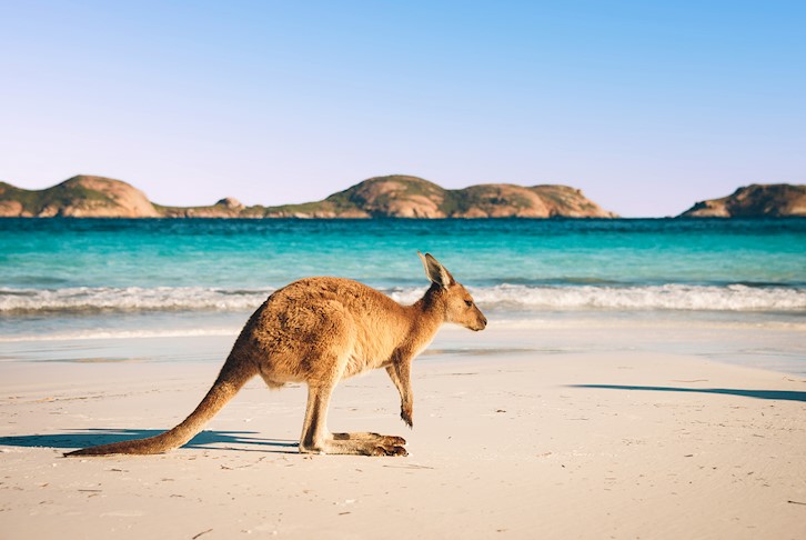 Indian Pacific with Perth, Margaret River, Albany, Esperance & Wave Rock Small Group Touring