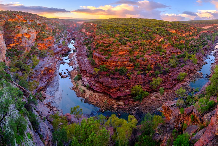 Indian Pacific with Perth, Monkey Mia, Kalbarri & Pinnacles Small Group Touring