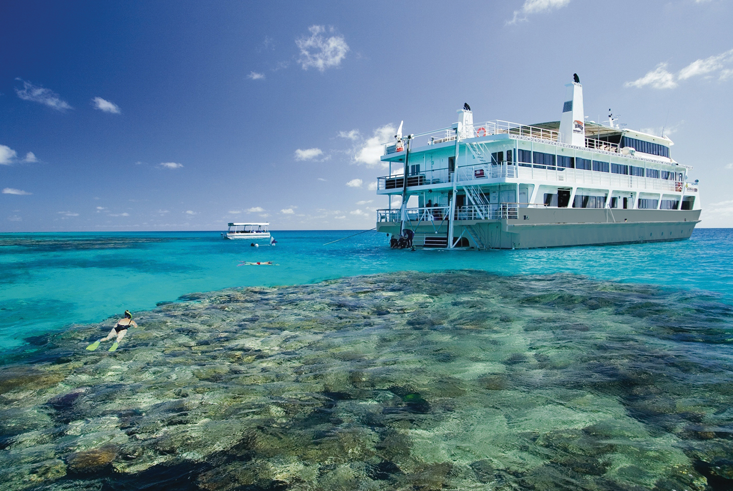 cairns great barrier reef cruise