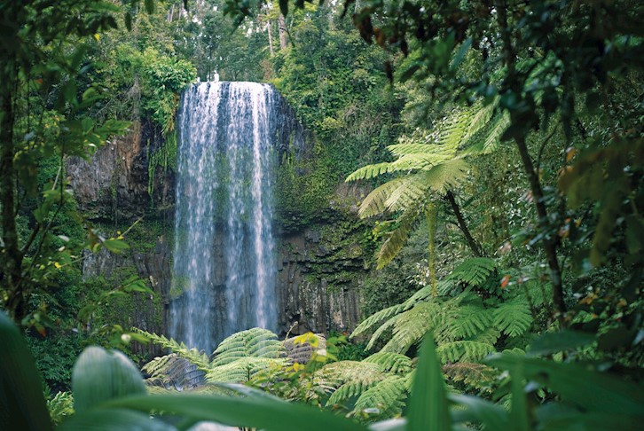 Cairns All-Inclusive with Atherton Tablelands