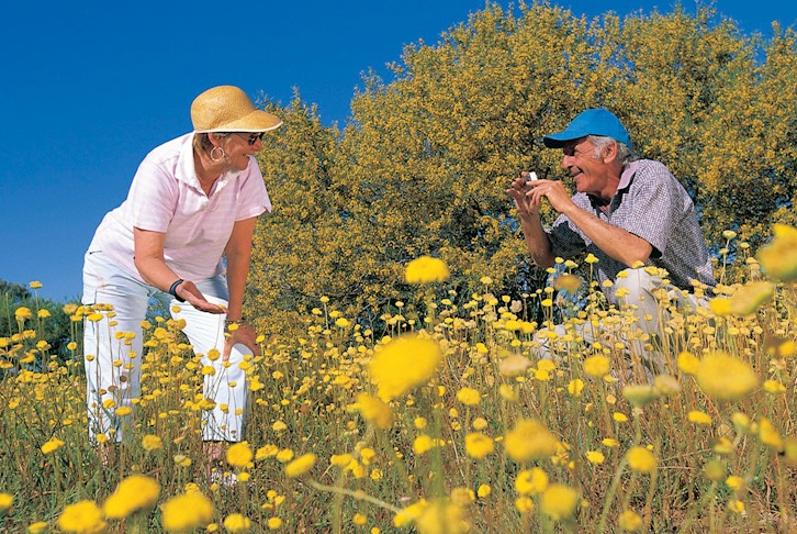 Perth All-Inclusive with Wildflower Discovery