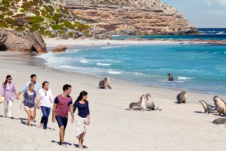 Great Southern Train with Kangaroo Island Remarkable Touring