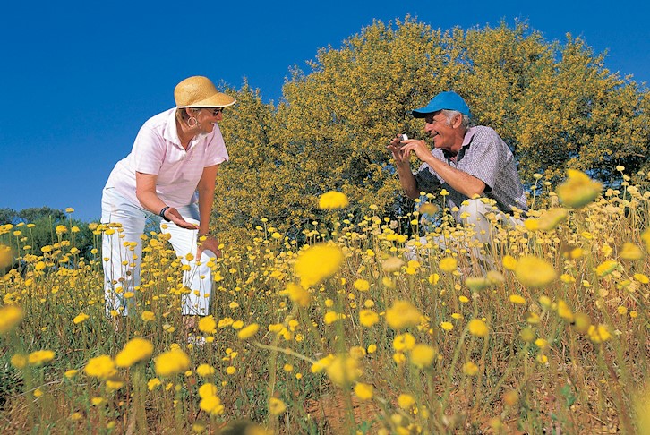 Indian Pacific to Perth All-Inclusive with Wildflower Discovery