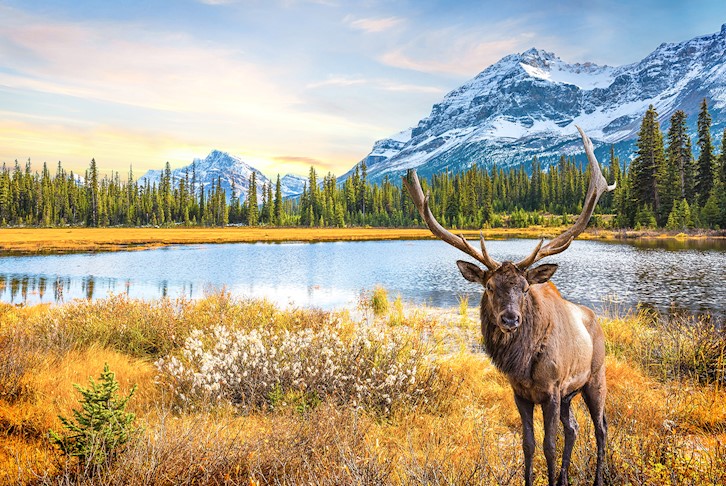 Western Canada & Rockies Discovery Tour