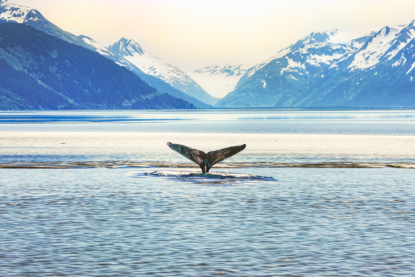 alaska cruise with vancouver stay