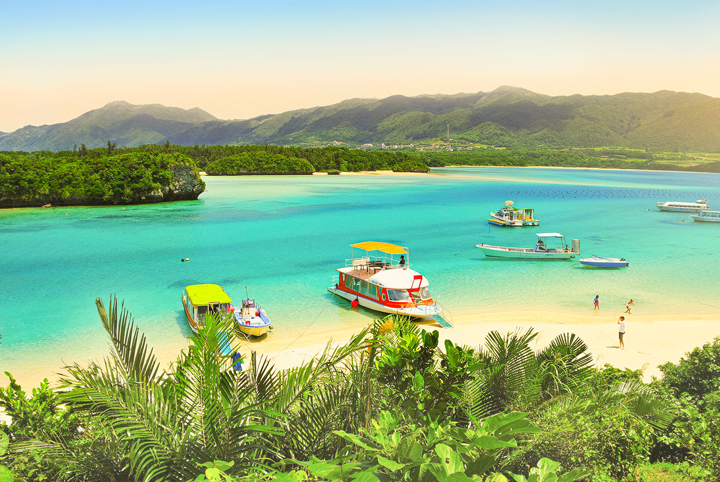 Okinawa to Tokyo Cruise with Stays