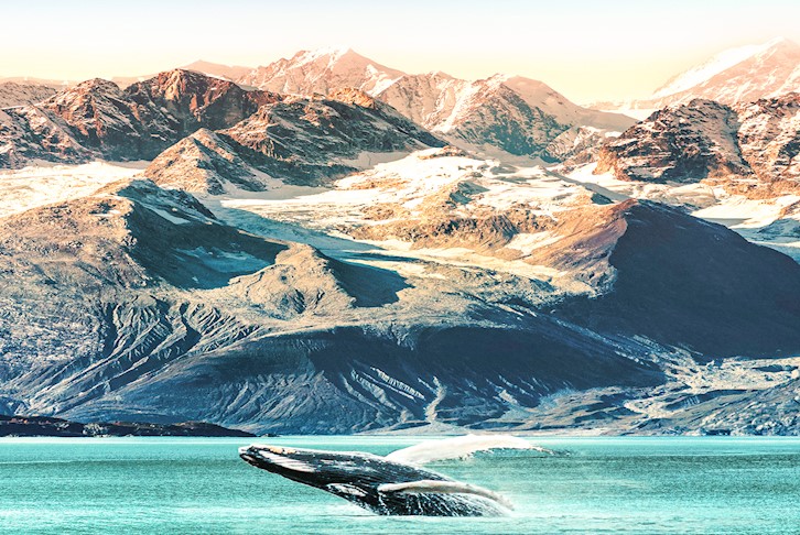 Alaska & Inside Passage Holland America Cruise with Vancouver Stay