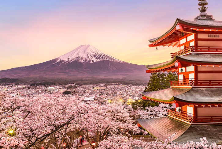 Classic Japan Tour