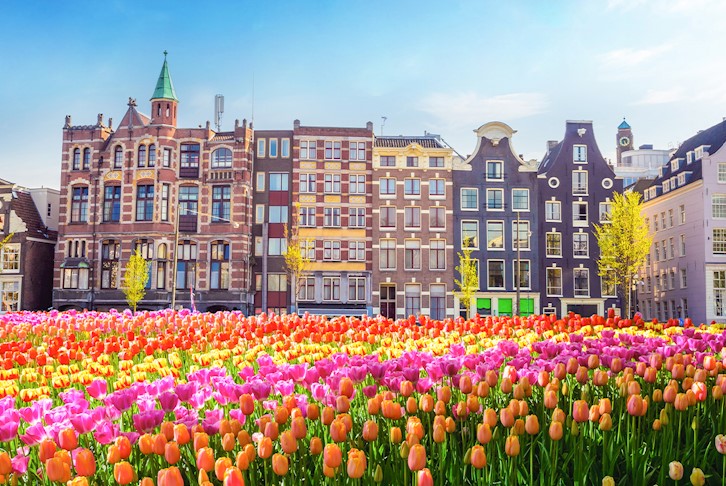 Tulips & Heroes Europe River Cruise with Amsterdam Stay