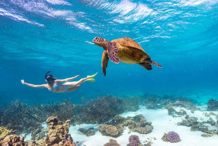 Ningaloo, Monkey Mia, Pinnacles, Kalbarri & Northern Discovery Self-Drive