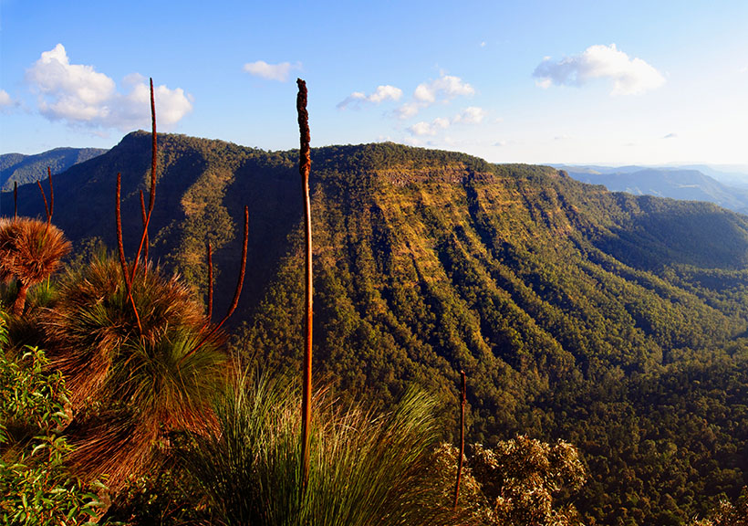 gold coast hinterland self drive tours