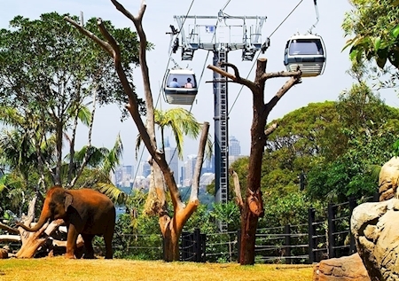 sky safari gondola